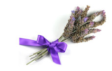 lavender boquet